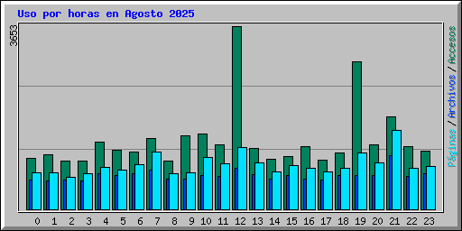 Uso por horas en Agosto 2025