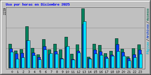 Uso por horas en Diciembre 2025