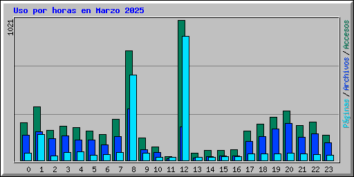 Uso por horas en Marzo 2025