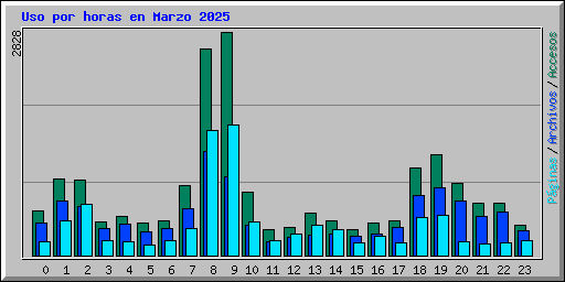 Uso por horas en Marzo 2025