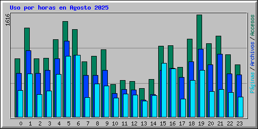 Uso por horas en Agosto 2025